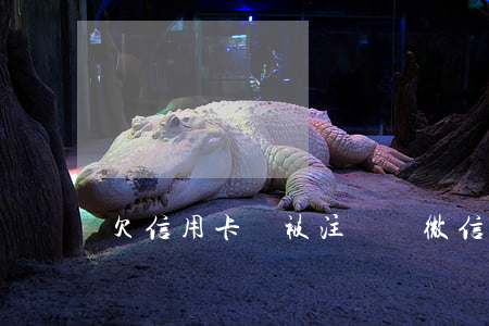 欠信用卡會被注銷嗎微信（欠信用卡會被注銷嗎）