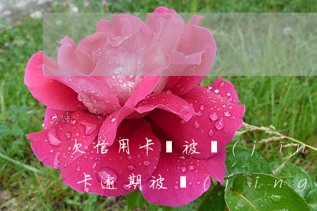 欠信用卡會被經(jīng)偵隊抓嗎?（信用卡逾期被經(jīng)偵抓獲）