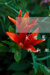 欠信用卡有人加微信 欠信用卡會(huì)找到微信嗎