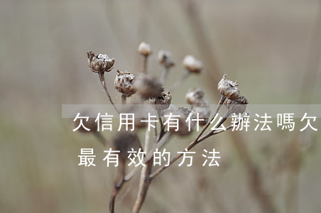 欠信用卡有什么辦法嗎(欠信用卡不還怎么辦最有效的方法)