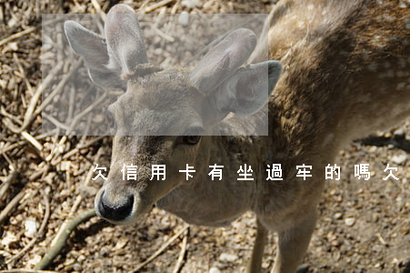 欠信用卡有坐過牢的嗎(欠信用卡會坐牢)
