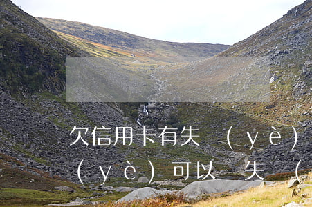 欠信用卡有失業(yè)(欠信用卡逾期失業(yè)可以辦失業(yè)金嗎)