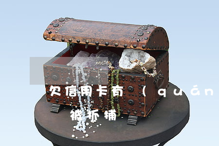 欠信用卡有權(quán)抓捕嗎(欠信用卡會被抓捕嗎)