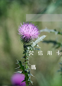 欠信用卡有被判刑的嗎(欠信用卡有被判刑的嗎)