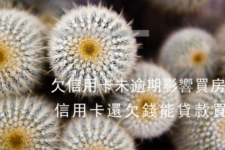 欠信用卡未逾期影響買房嗎(征信未逾期但是信用卡還欠錢能貸款買房嗎)