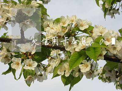 欠信用卡本息20萬(wàn)