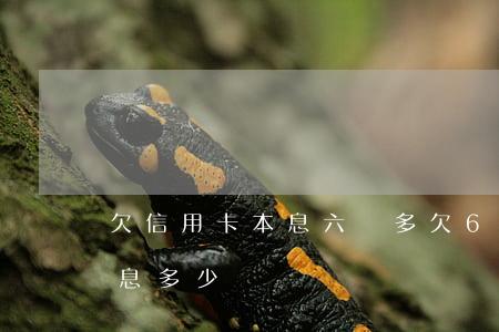 欠信用卡本息六萬多(欠6萬信用卡1個月利息多少)