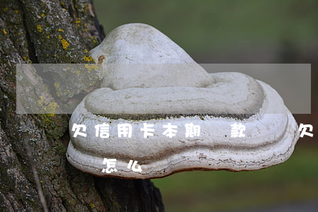 欠信用卡本期還款總額(欠信用卡還款能力不夠怎么辦)
