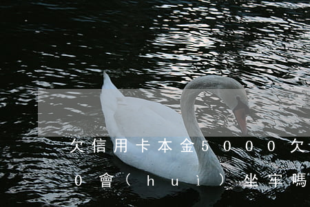 欠信用卡本金5000(欠信用卡本金5000會(huì)坐牢嗎)