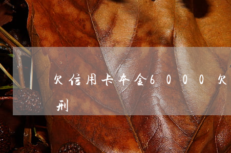 欠信用卡本金6000(欠信用卡本金多少判刑)