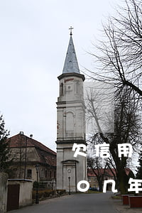 欠信用卡本金8000 欠信用卡本金8000几年没还