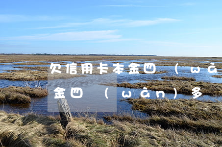 欠信用卡本金四萬(wàn)多(欠信用卡本金四萬(wàn)多會(huì)坐牢嗎)