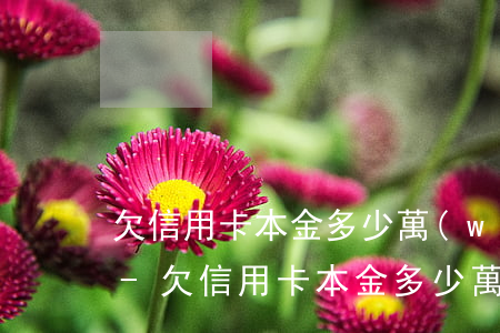 欠信用卡本金多少萬(wàn)以上被起訴-欠信用卡本金多少萬(wàn)以上被起訴了