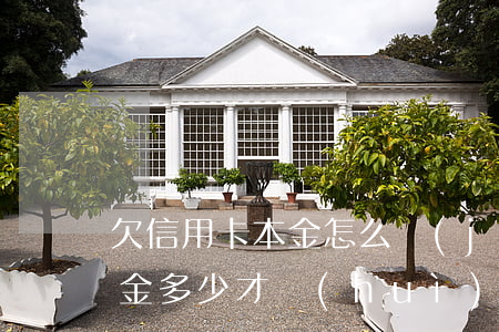 欠信用卡本金怎么計(jì)算 欠信用卡本金多少才會(huì)被起訴