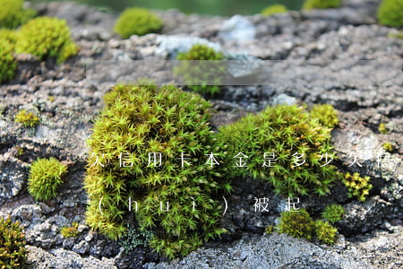 欠信用卡本金是多少(欠信用卡本金多少才會(huì)被起訴)