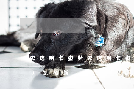 欠信用卡 查封(欠信用卡查封房產(chǎn)怎么解決)