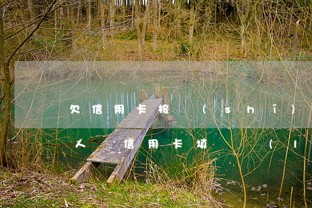 欠信用卡核實(shí)聯(lián)系人(辦信用卡填寫聯(lián)系人是黑戶有影響嗎)