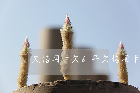 欠信用卡欠6年(欠信用卡欠6年)