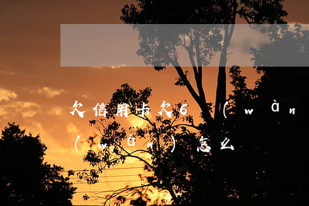 欠信用卡欠6萬(wàn)-欠信用卡6萬(wàn)怎么辦