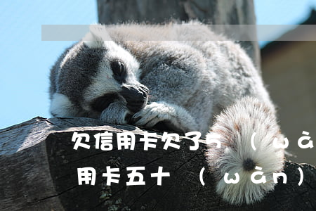 欠信用卡欠了5萬(wàn)逾期了-欠信用卡五十萬(wàn)逾期了