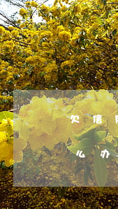 欠信用卡欠公司投保(欠信用卡欠公司投保怎么办)
