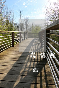 欠信用卡欠公司投保(欠信用卡欠公司投保怎么辦)