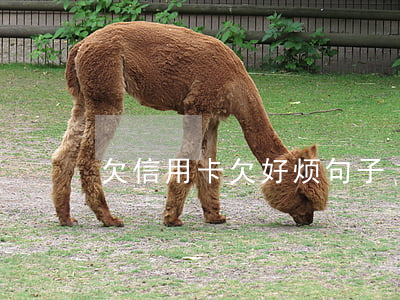 欠信用卡欠好烦句子