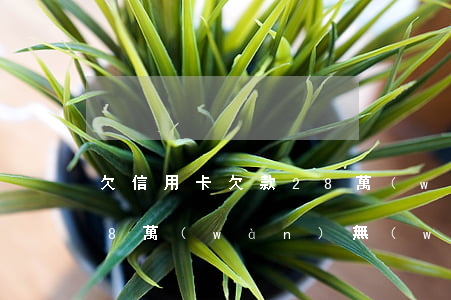 欠信用卡欠款28萬(wàn) 欠信用卡28萬(wàn) 無(wú)力償還了,怎么處理?