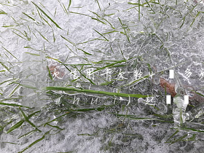 欠信用卡欠款4萬多(欠信用卡欠款4萬多會(huì)起訴嗎)