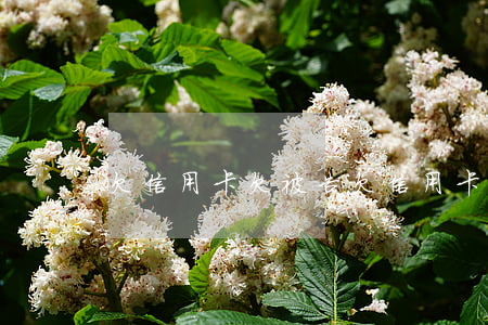 欠信用卡欠被告(欠信用卡被訴訟)