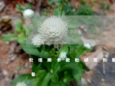 欠信用卡款如何写欠条（欠信用卡款如何写欠条）