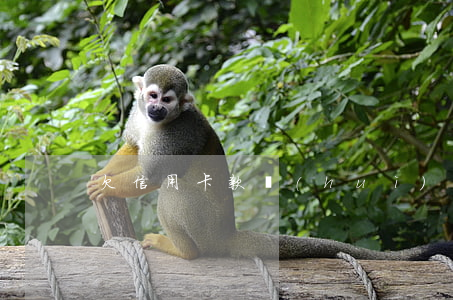 欠信用卡款 會(huì)別抓么
