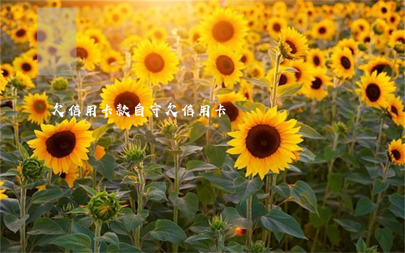欠信用卡款自守(欠信用卡錢)