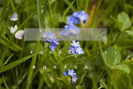 欠信用卡死亡會(huì)影響妻子（老婆去世信用卡逾期）