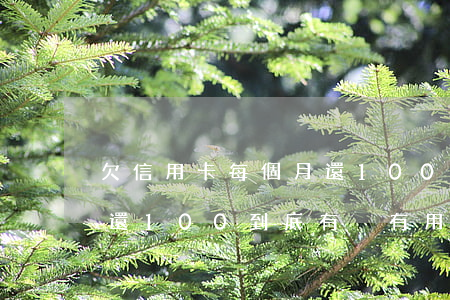 欠信用卡每個月還100-欠信用卡每個月還100到底有沒有用