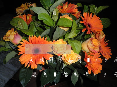 欠信用卡每月還10元會(huì)怎么樣（每月還信用卡10元會(huì)不會(huì)逾期）