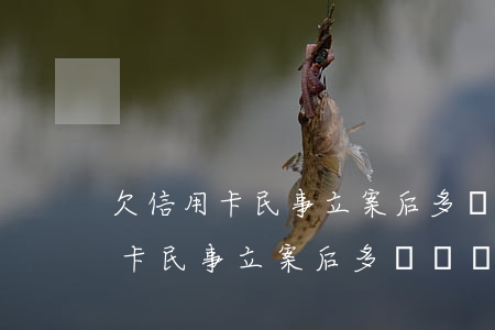 欠信用卡民事立案后多長時間開庭-欠信用卡民事立案后多長時間開庭審理
