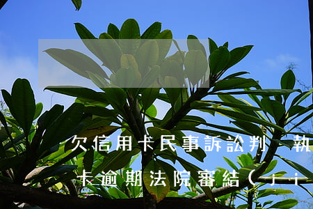 欠信用卡民事訴訟判決執(zhí)行（信用卡逾期法院審結(jié)判決）