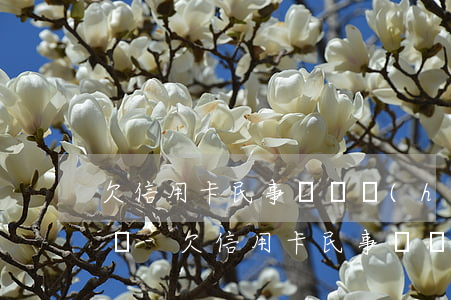欠信用卡民事訴訟會(huì)帶來哪些影響-欠信用卡民事訴訟會(huì)帶來哪些影響和影響