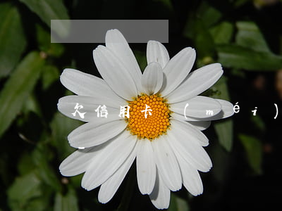 欠信用卡沒(méi)有償還能力是老賴嗎-