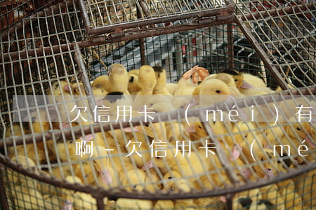 欠信用卡沒(méi)有能力還款了怎么辦啊-欠信用卡沒(méi)有能力還款了怎么辦啊怎么處理