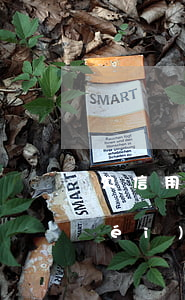 欠信用卡沒(méi)有還(欠信用卡沒(méi)有還對(duì)以后有什么影響)