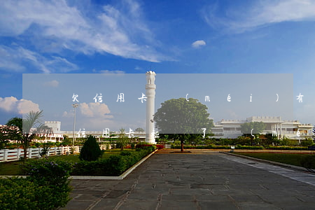欠信用卡沒(méi)有錢(qián)(欠信用卡起訴了沒(méi)錢(qián)還怎么辦)