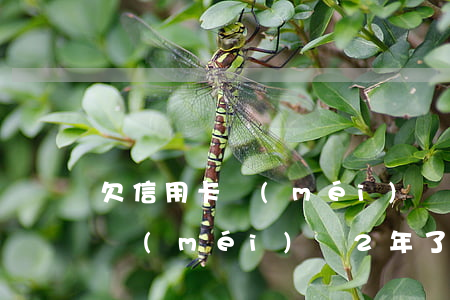 欠信用卡沒(méi)還2年了-欠信用卡沒(méi)還2年了會(huì)怎樣
