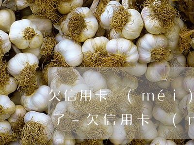 欠信用卡沒(méi)還上門(mén)催了-欠信用卡沒(méi)還上門(mén)催了
