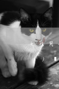 欠信用卡沒(méi)還可以借網(wǎng)貸嘛(欠信用卡欠網(wǎng)貸可以買房子嗎)