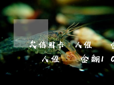 欠信用卡沒人催滯納金翻10倍-欠信用卡沒人催滯納金翻10倍怎么辦