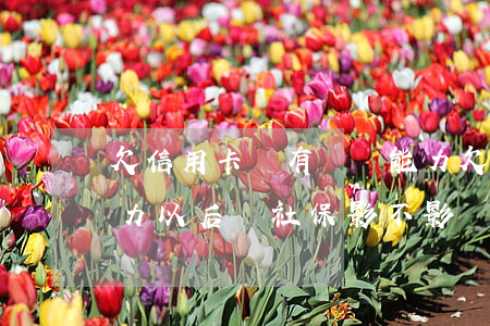 欠信用卡沒有償還能力(欠信用卡沒有償還能力,以后領社保影不影響)