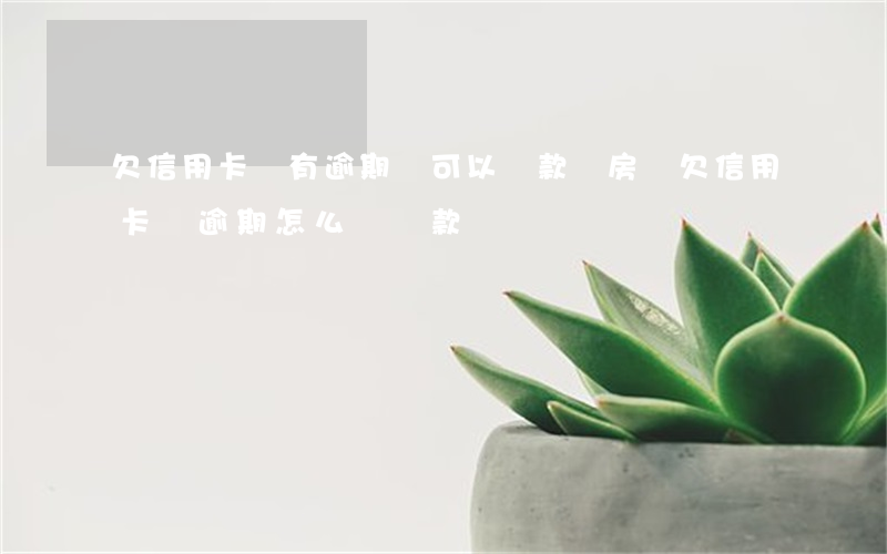 欠信用卡沒有逾期過可以貸款買房嗎（欠信用卡沒逾期怎么辦貸款）