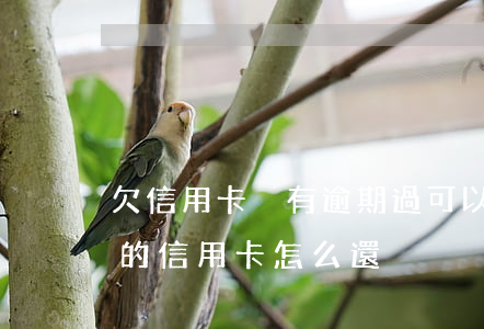 欠信用卡沒有逾期過可以貸款買房嗎（沒逾期的信用卡怎么還）